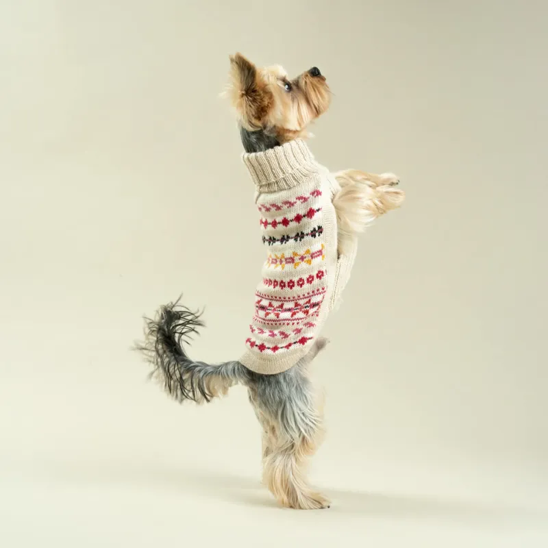 Alqo Wasi Aurora Dog Jumper