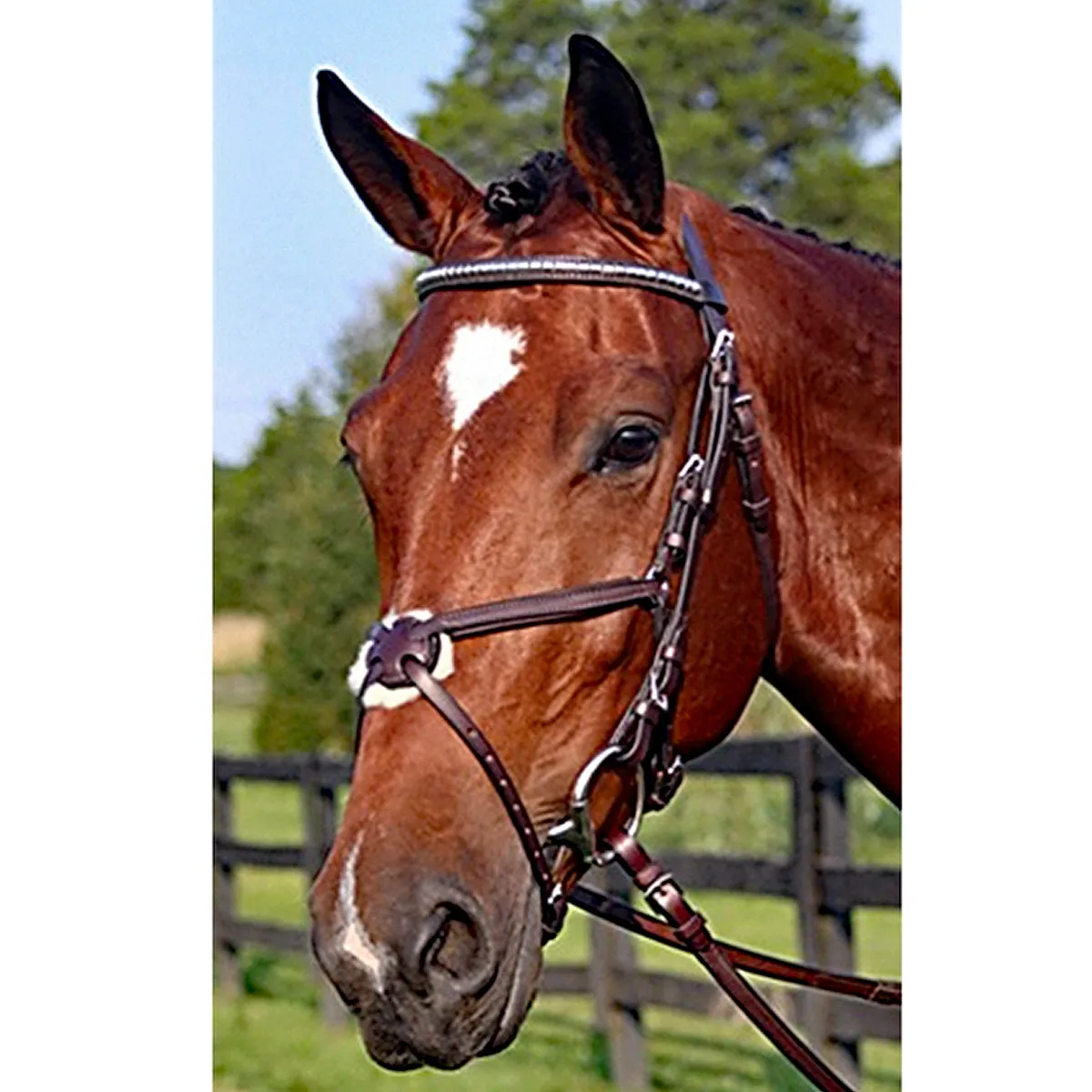Nunn Finer Figure Eight Bridle